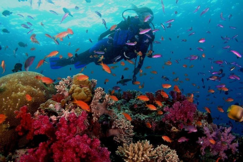 Ideal Scuba Diving and Snorkeling Spots in Goa - AWAYCABS