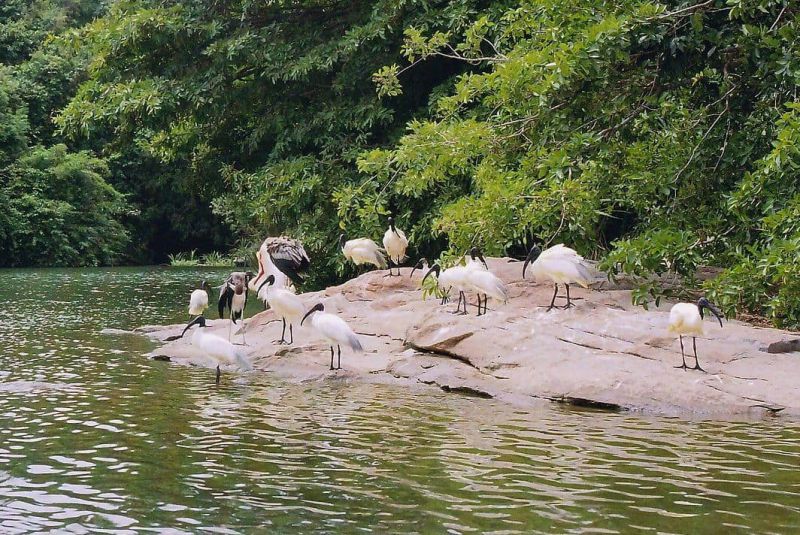 Ranganathittu Bird Sanctuary - AWAYCABS